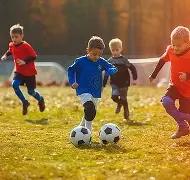 短道速滑世,锦赛,盘点观赛难,2026世界杯,世界杯赛程,球队信息,场馆分布,赛事动态