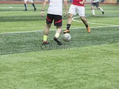 周定洋中超,征程再启航,告别成都,2026世界杯,世界杯赛程,球队信息,场馆分布,赛事动态